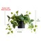 Faux Plants in Black Ceramic Pot, Artificial Plants for Home Decor Indoor, Ivy Small Fake Plants - Fake Plants Decor, Green Plants Artificial Décor, Artificial Plant for Indoor and Outdoor